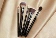 Load image into Gallery viewer, Sigma Beauty - Must-Have Brush Set